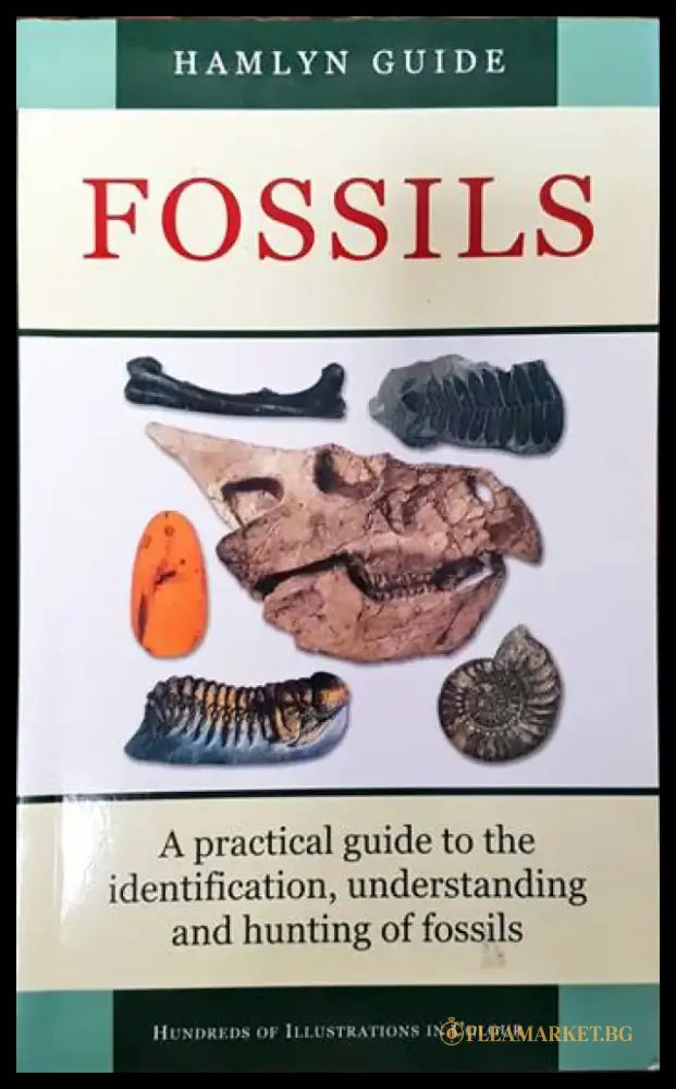 Fossils - Книги