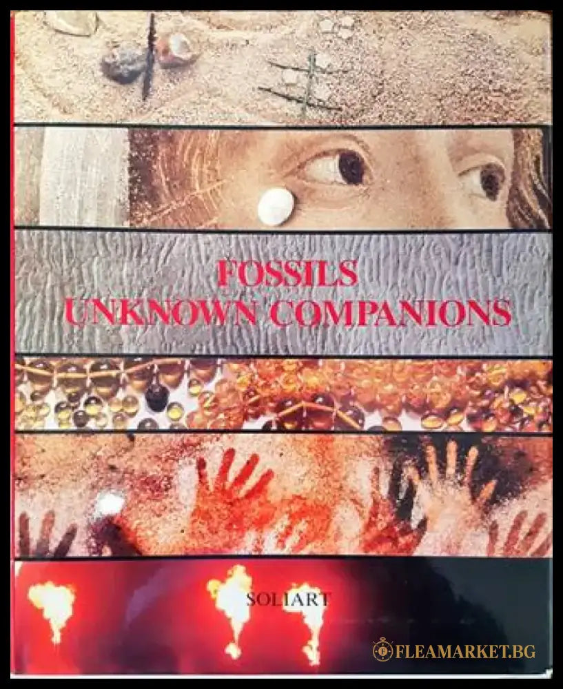 Fossils Unknown Companions - Книги