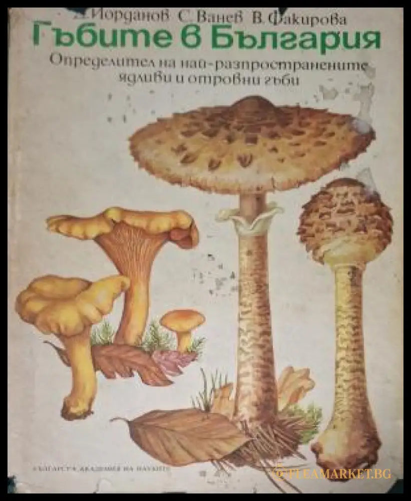 Гъбите в България - Йорданов, Ванев, Факирова
