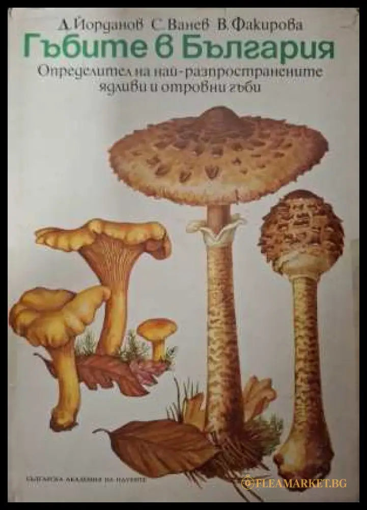 Гъбите в България (331908261252) - Даки Йорданов Симеон Ванев Виолета Факирова - Книга