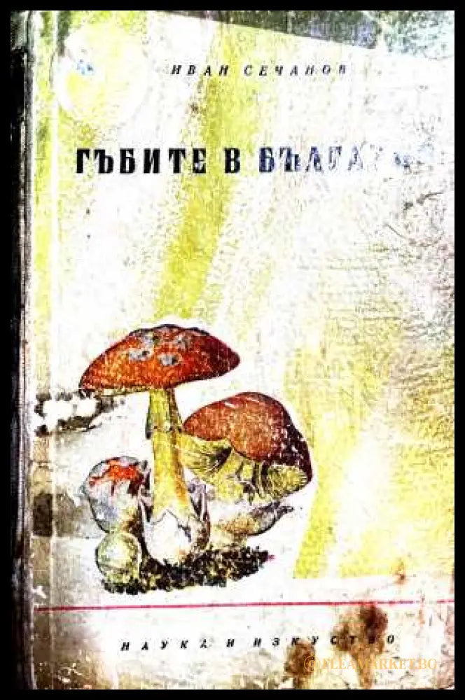 Гъбите в България - Иван Сечанов