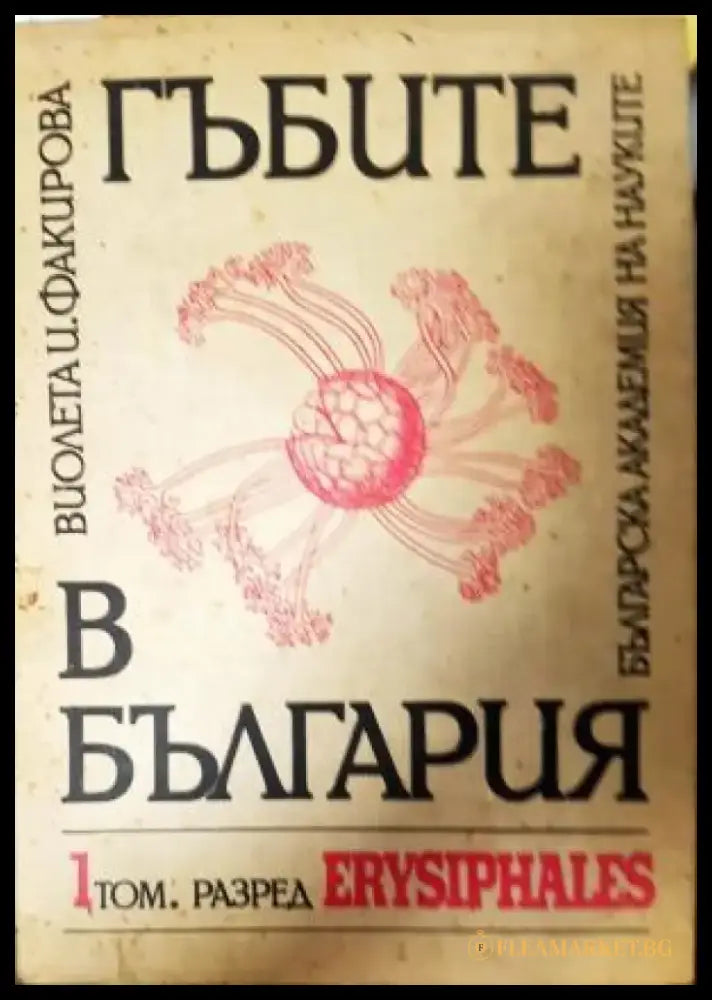 Гъбите в България. Том 1: Разред ERYSIPHALES (512) - Книга