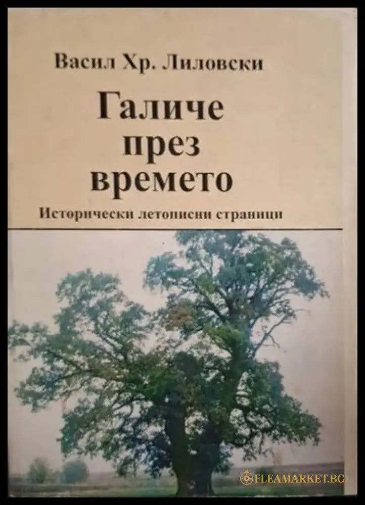 Галиче през времето (1300) - Книга