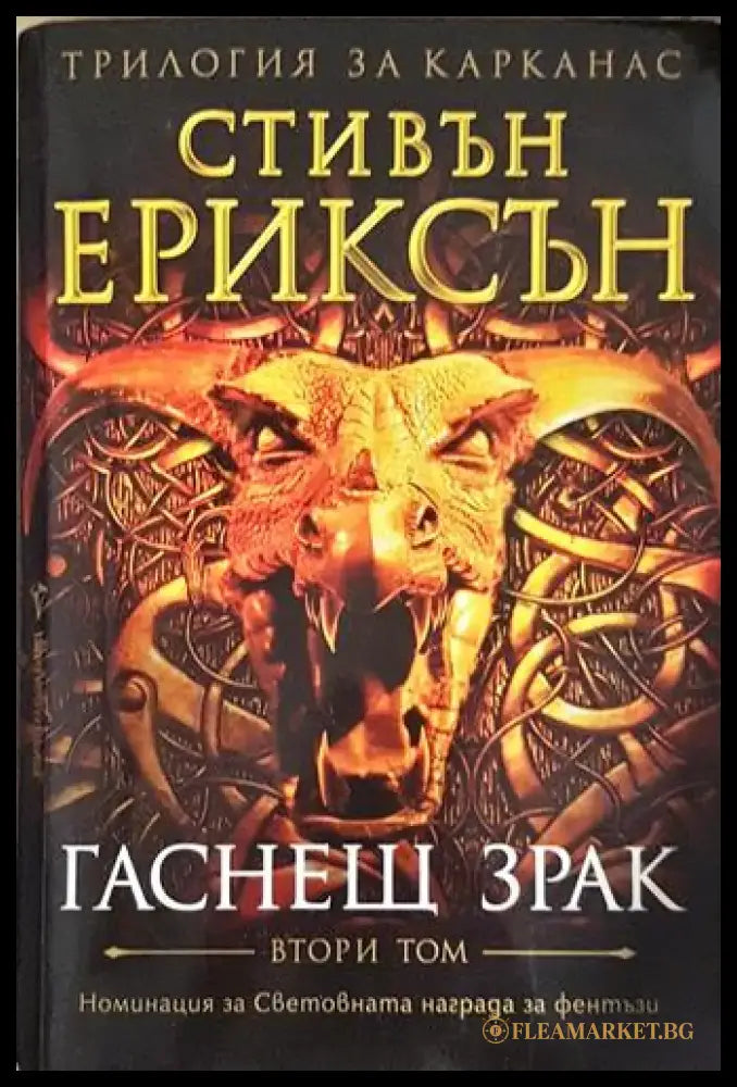Гаснещ зрак. Том 2 (2908) - Книга