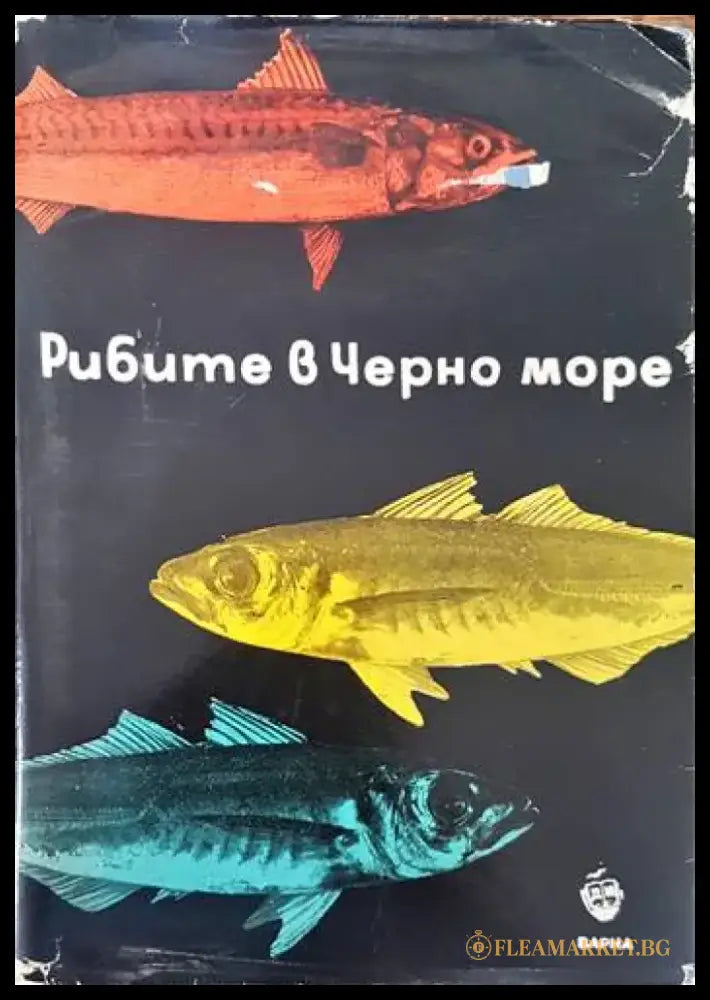 Геология на България (450) - Книга