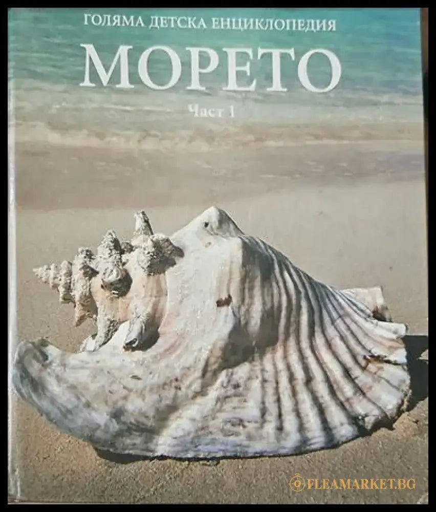 Голяма детска енциклопедия: Морето част 1 - Книги