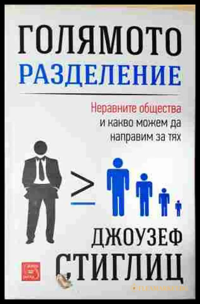 Голямото разделение - Джоузеф Стиглиц - корица