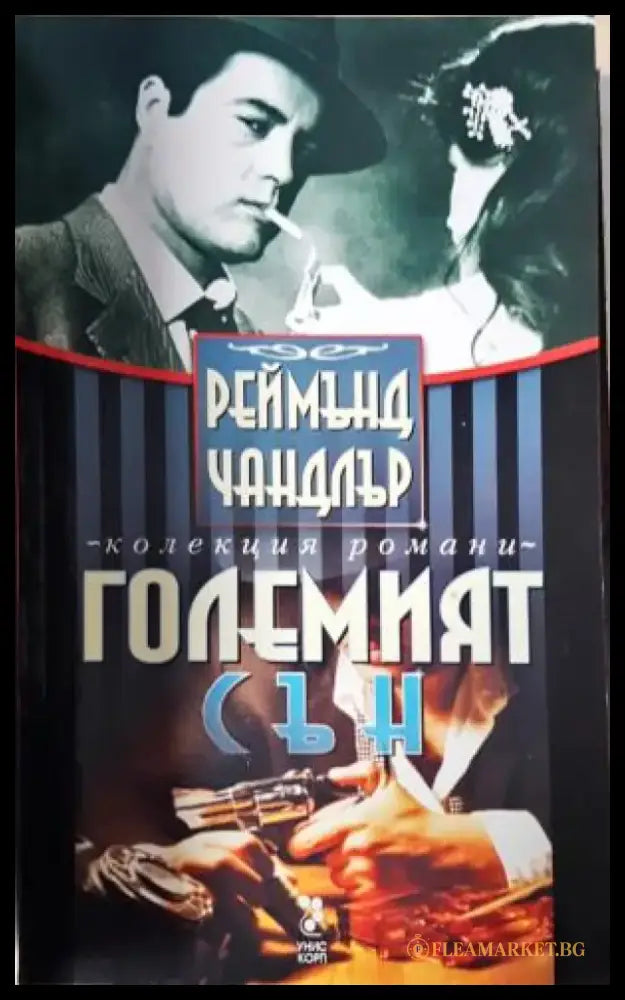 Големият сън (4971) - Книга