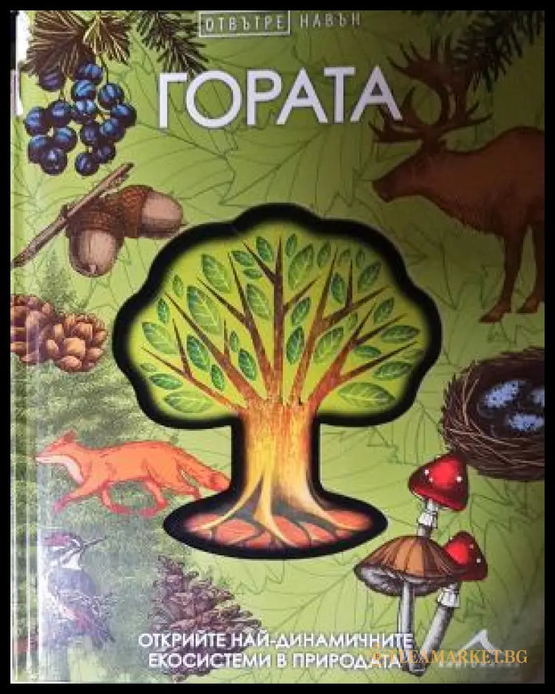 Гората. Отвътре навън (272105261614) - Книга