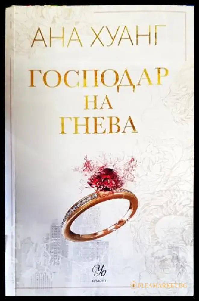Господар на гнева. Книга 1 - Книги