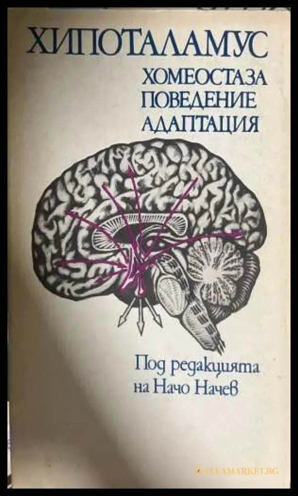 Хипоталамус - хомеостаза, поведение, адаптация