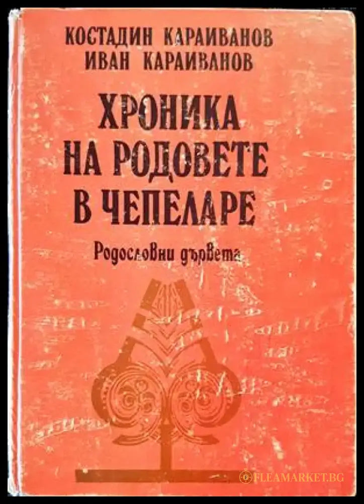 Хроника на родовете в Чепеларе - Книги