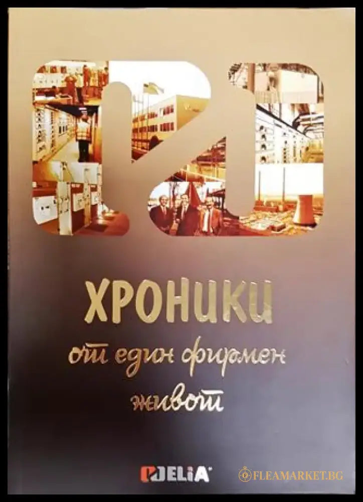 Хроники от един фирмен живот - Книга