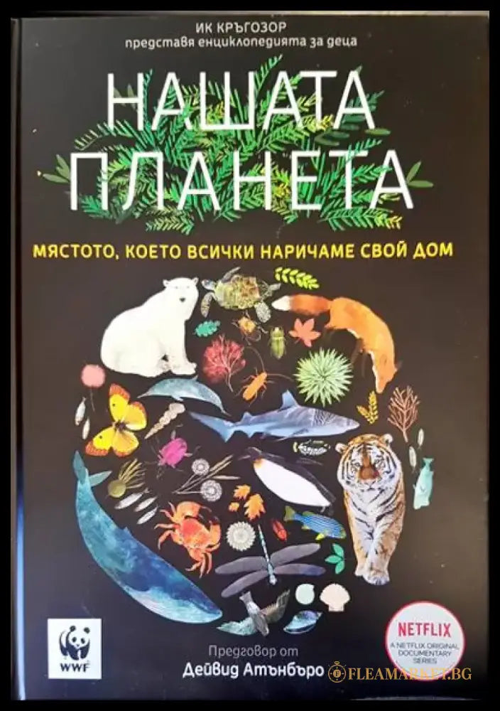 Хроники. Пътуване през историята (406) - Книга