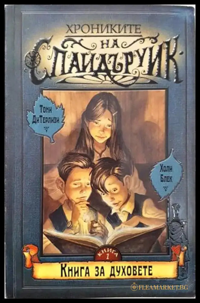 Хрониките на Спайдъруик. Книга 1-4 - Книги