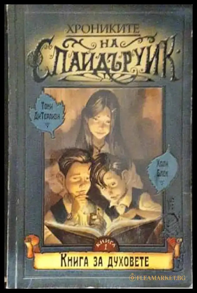 Хрониките на Спайдъруик. Книга 1: Книга за духовете (5821) - Книга