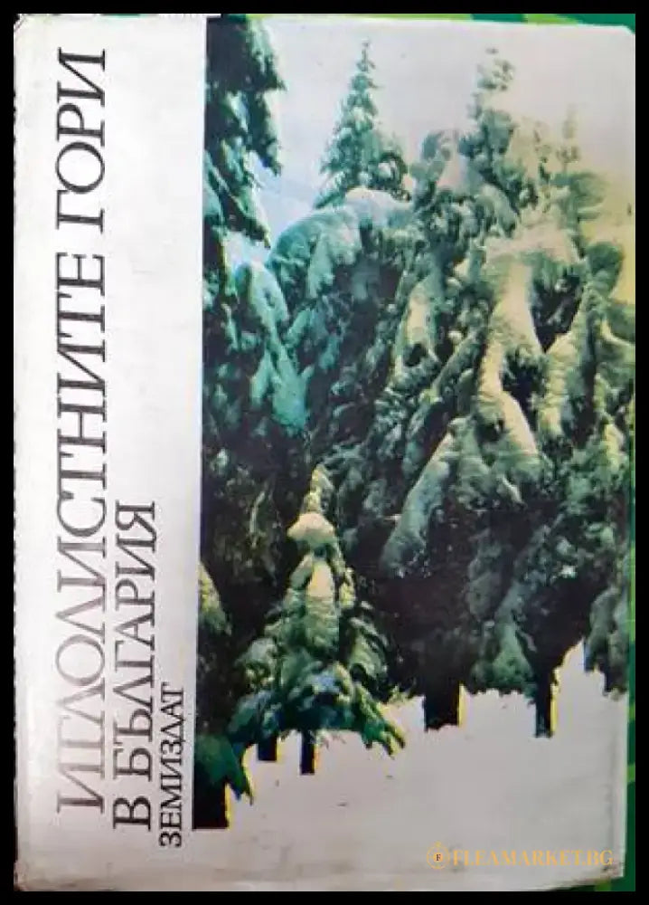 Иглолистните гори в България - Книги