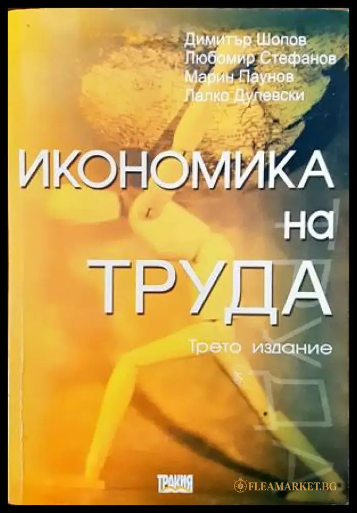 Икономика на труда - Книга