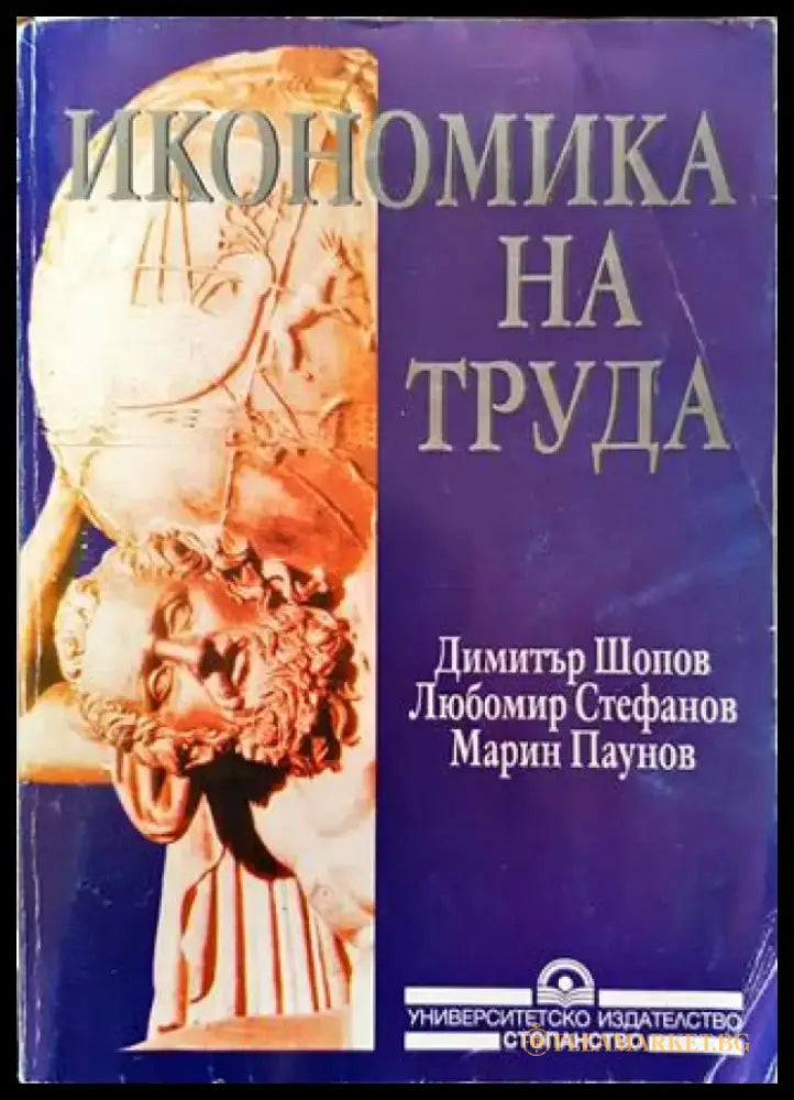 Икономика на труда - Книга