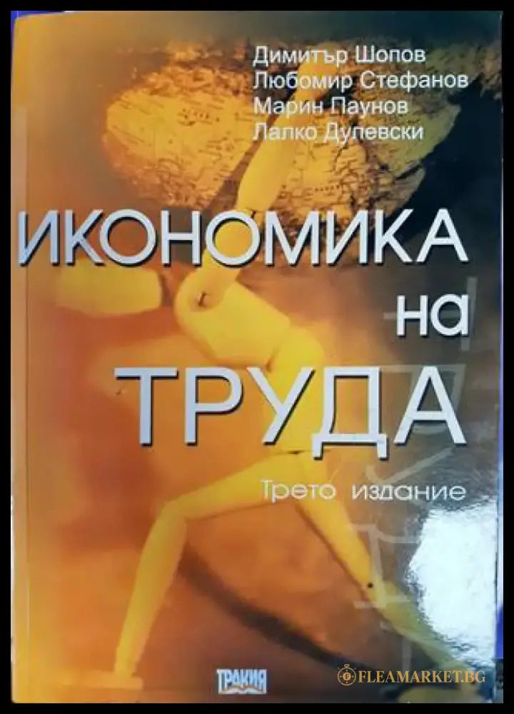 Икономика на труда (905) - Книга