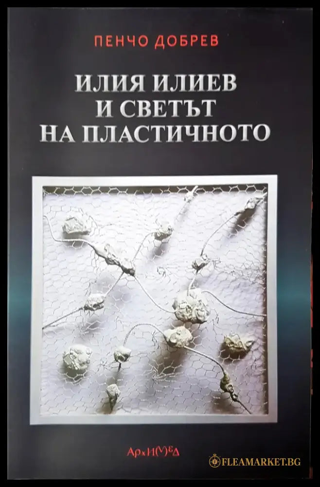 Илия Илиев и светът на пластичното (3391) - Книга