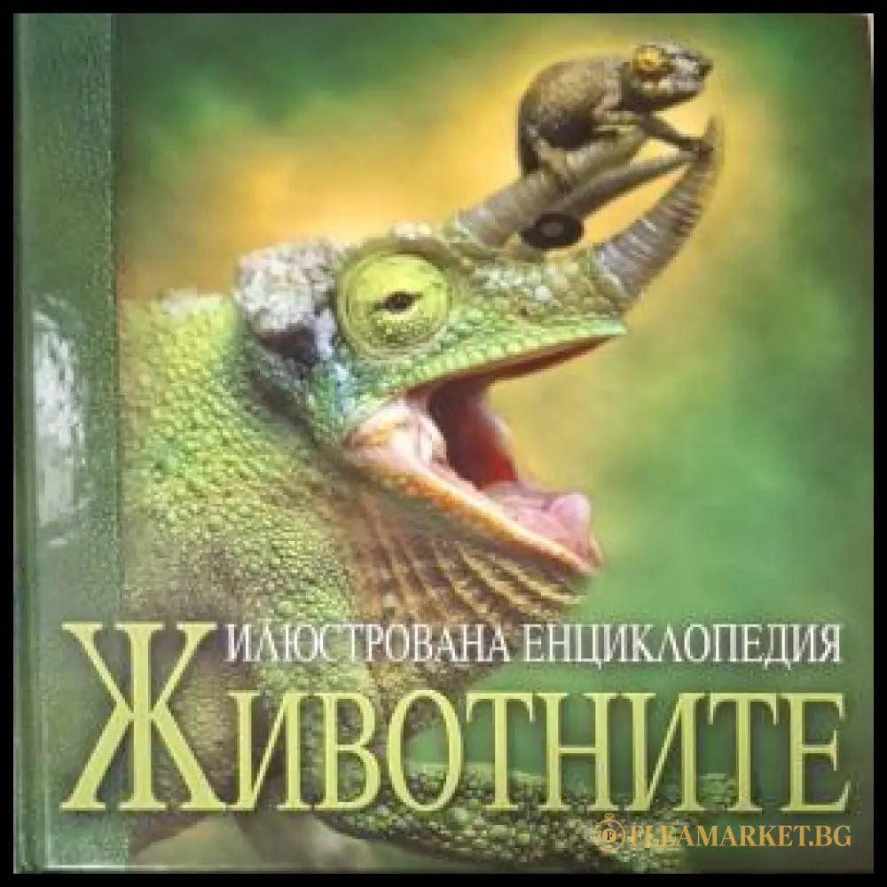 Илюстрована енциклопедия: Животните