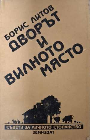 Дворът и вилното място - Борис Литов