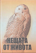 Нещата от живота - Seven Studio