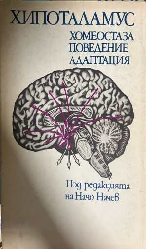 Хипоталамус - хомеостаза, поведение, адаптация