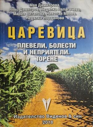 Царевица - корица
