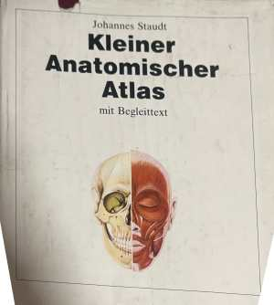 Kleiner Anatomischer Atlas - Johannes Staudt