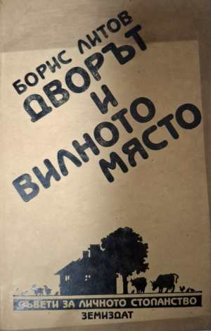 Дворът и вилното място - Борис Литов