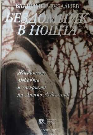 Бездомник в нощта - Владимир Русалиев