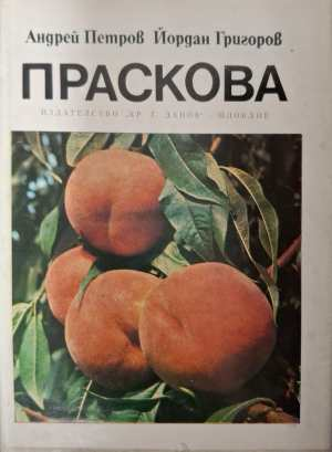 Праскова - Андрей Петров, Йордан Григоров
