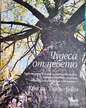 Чудеса от небето - Кристи Уилсън Бийм