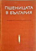 Пшеницата в България