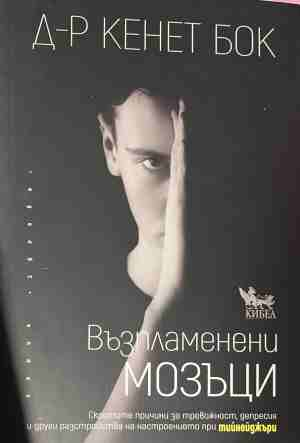 Възпламенени мозъци - Кенет Бок