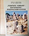 „Побитите камъни“ - бактериално-водораслови колони