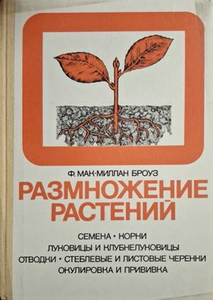 Размножение растений - корица