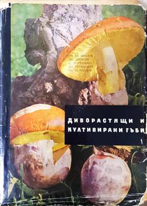 Диворастящи и култивирани гъби