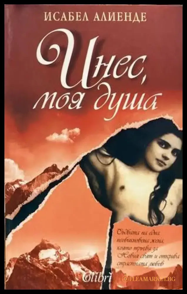 Инес моя душа (1985) - Книга