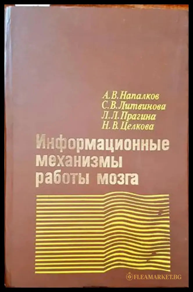 Информационные механизмы работы мозга - Книги