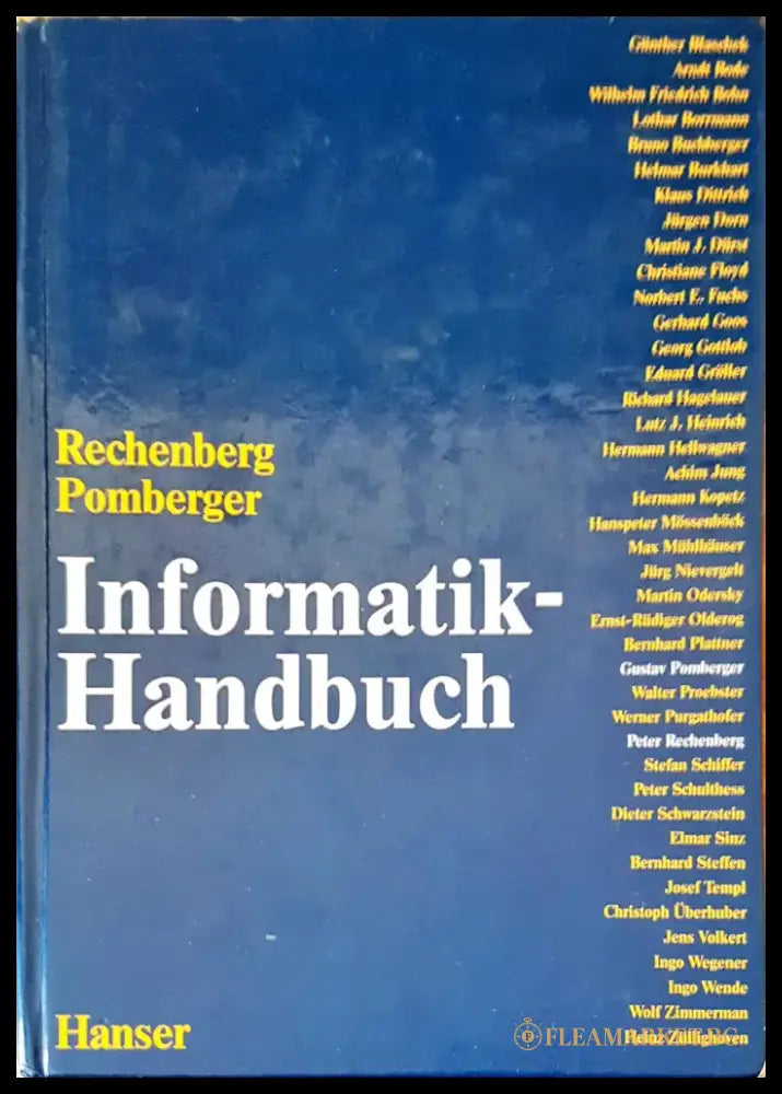 Informatik-handbuch - Книги