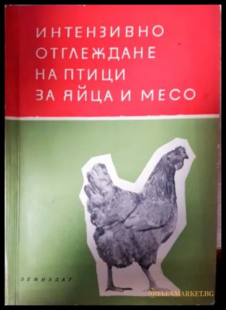 Интензивно отглеждане на птици за яйца и месо (352205261414) - Колектив - Книга