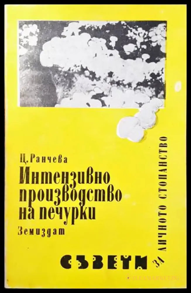 Интензивно производство на печурки - Книги