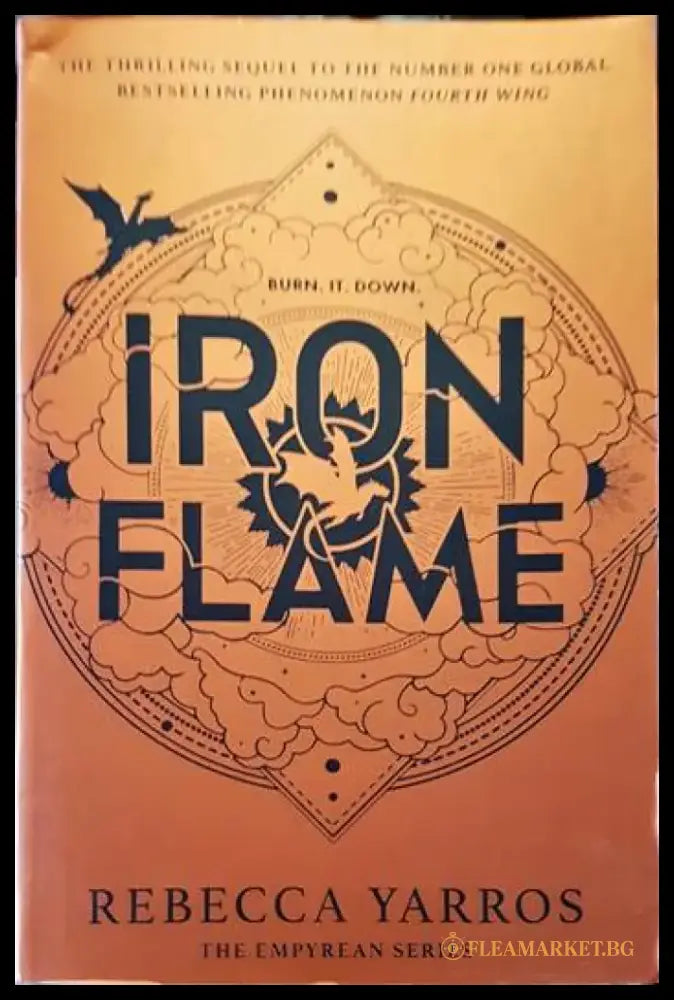 Iron Flame (1524) - Книга