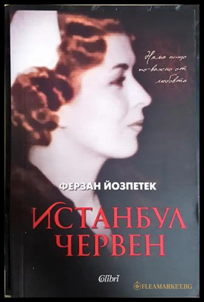 Истанбул червен - Ферзан Йозпетек