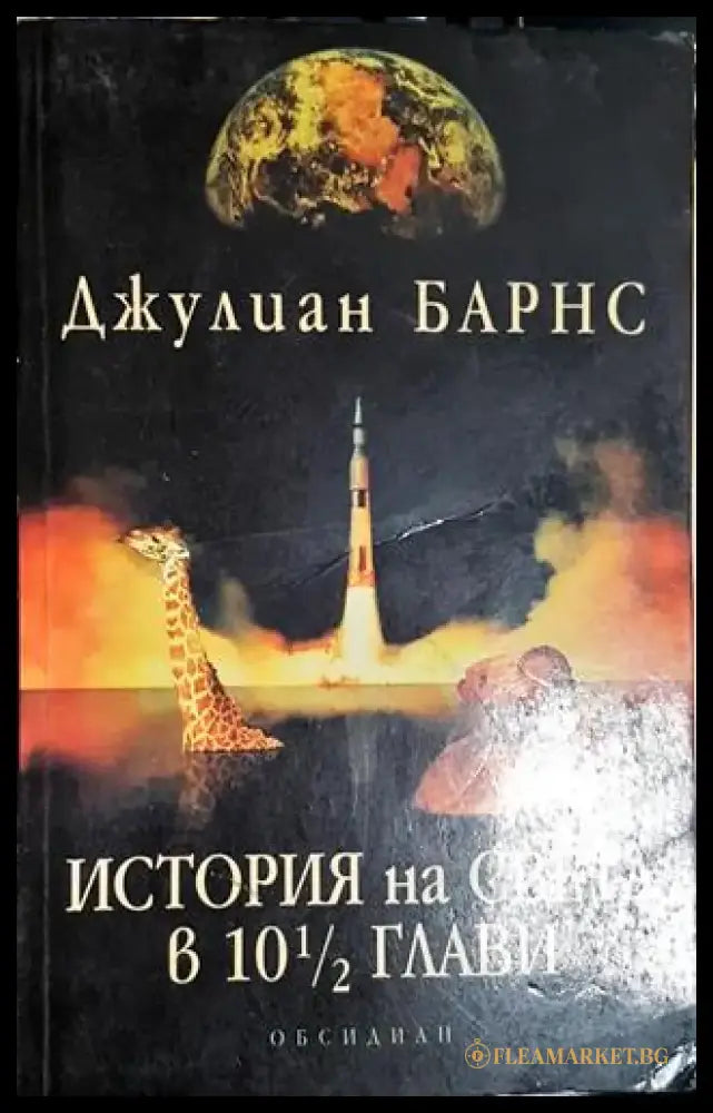 История на света в 10 ½ глави – Джулиан Барнс - Книга