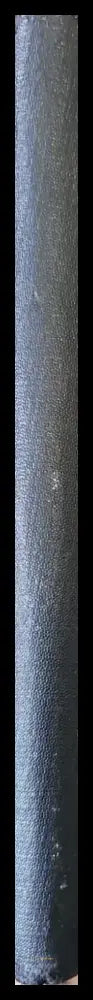 Избранный разсказы (300) - Книга