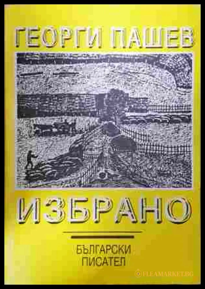 Избрано - Георги Пашев